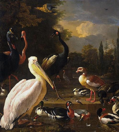 Melchior de Hondecoeter The Floating Feather Spain oil painting art